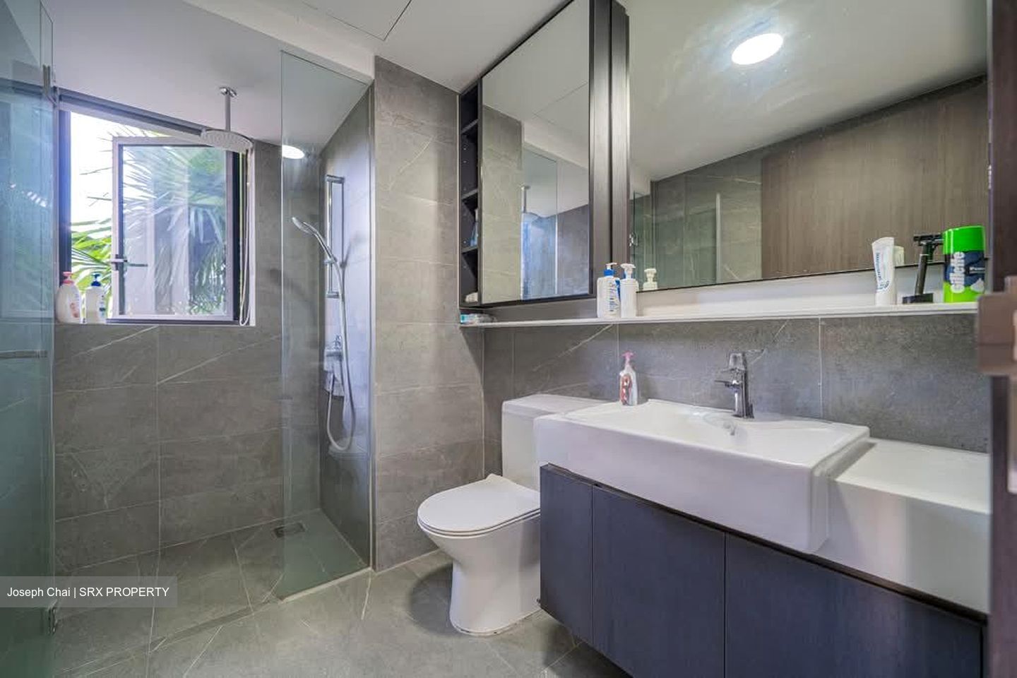 Riverfront Residences (D19), Apartment #559648081